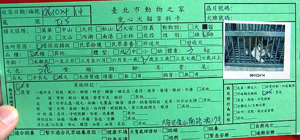 圖檔