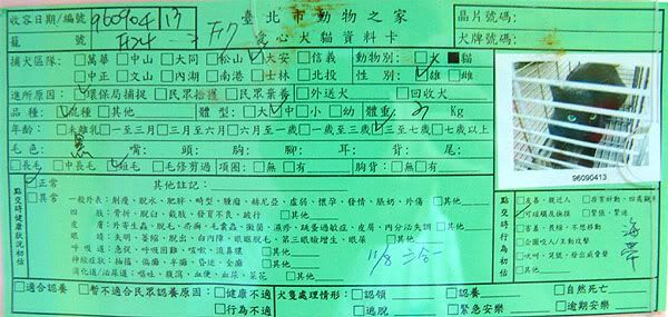 圖檔