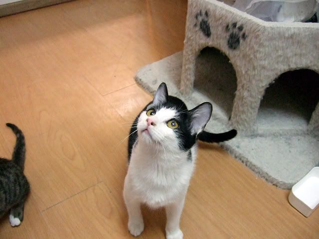 圖檔