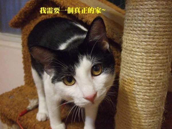 圖檔