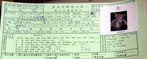 圖檔