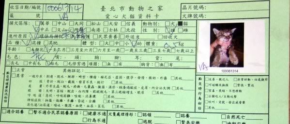 圖檔
