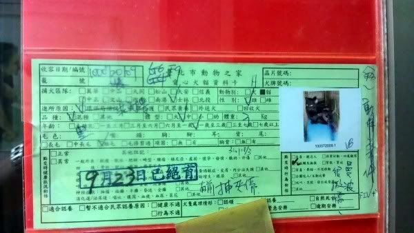 圖檔