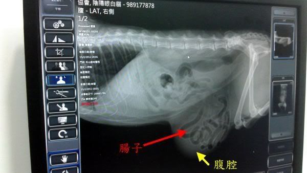 圖檔