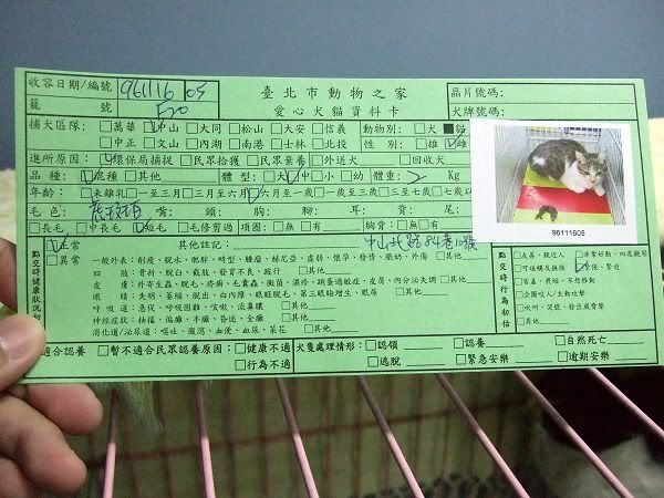 圖檔
