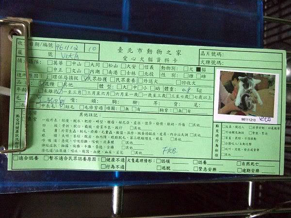 圖檔