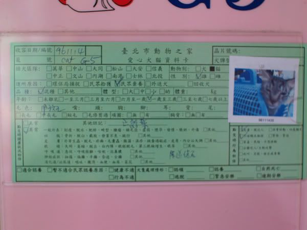 圖檔