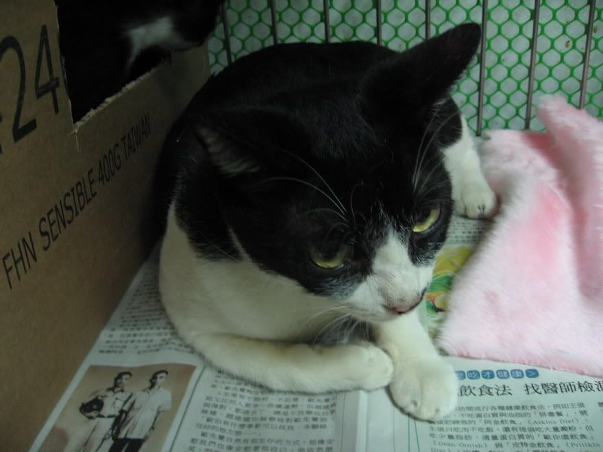 圖檔