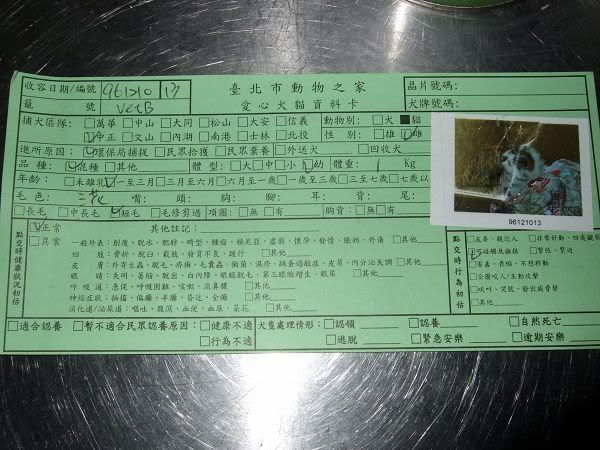 圖檔