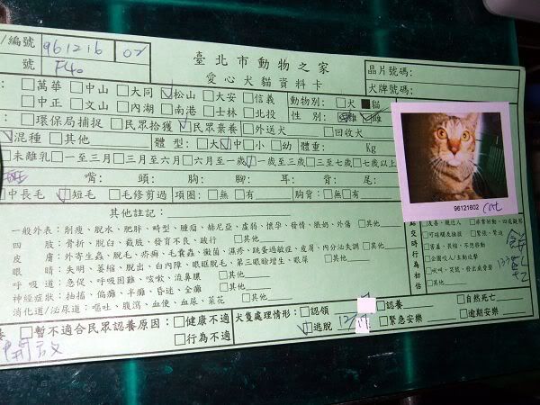 圖檔
