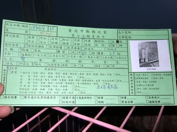 圖檔