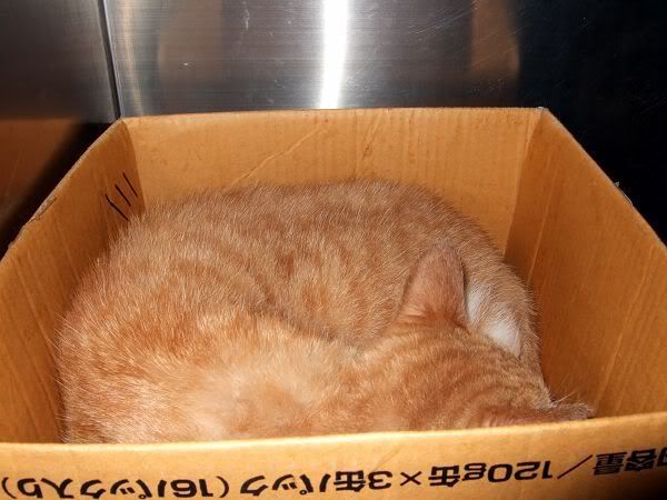 圖檔