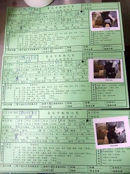 圖檔