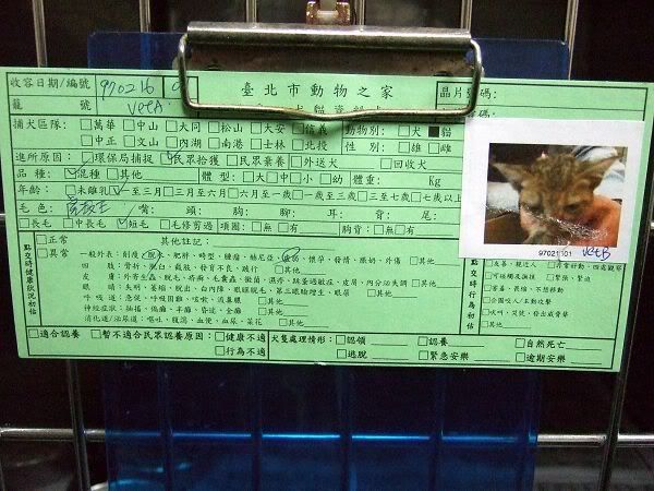 圖檔