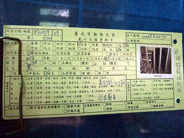 圖檔