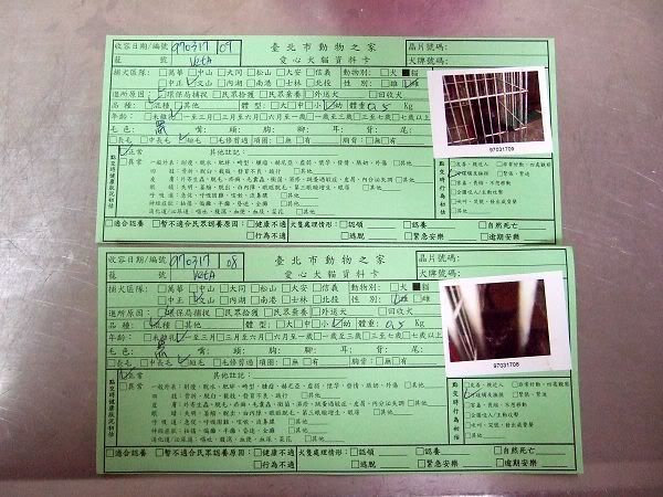 圖檔