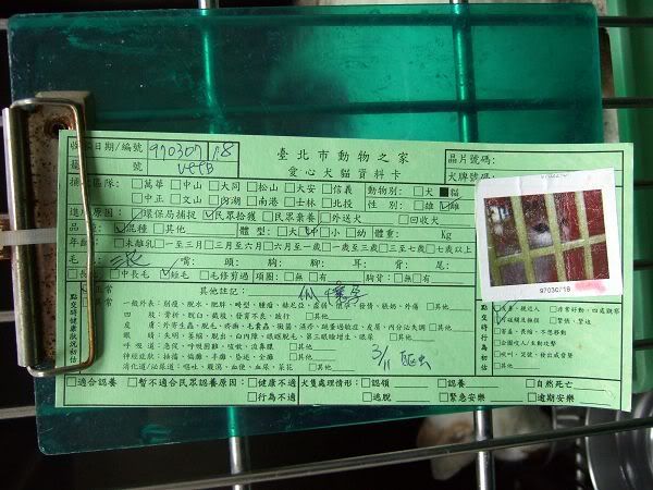 圖檔