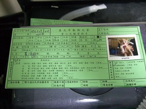 圖檔