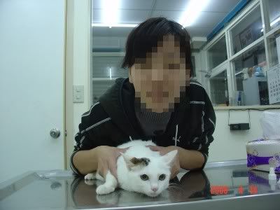 圖檔