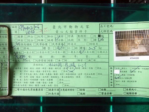 圖檔