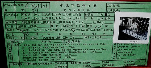 圖檔