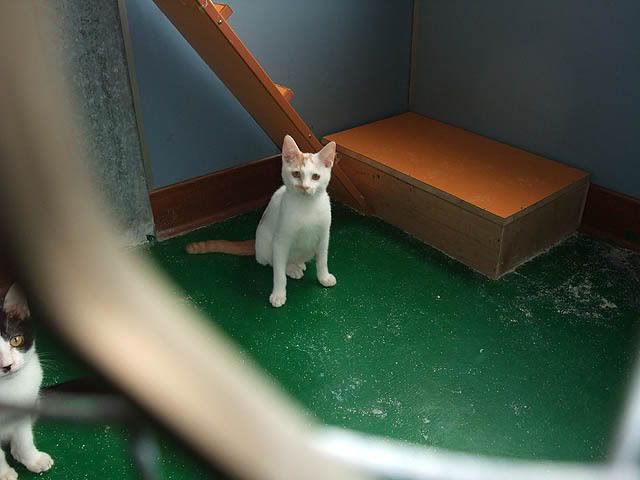 圖檔