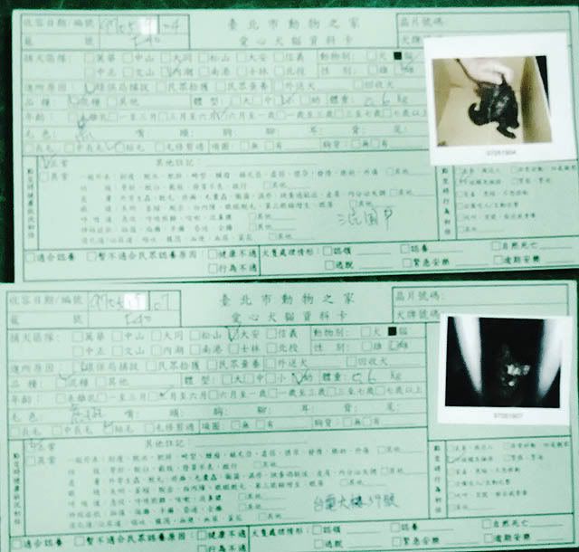 圖檔
