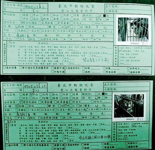 圖檔