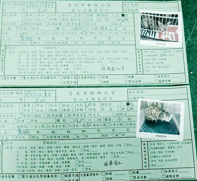 圖檔