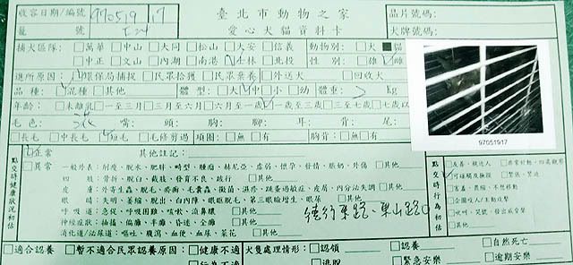 圖檔