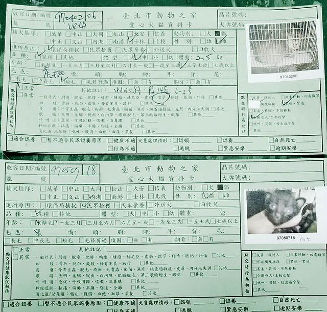 圖檔