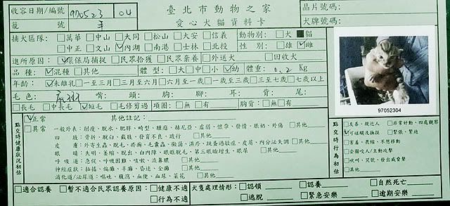 圖檔