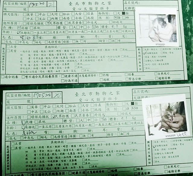 圖檔