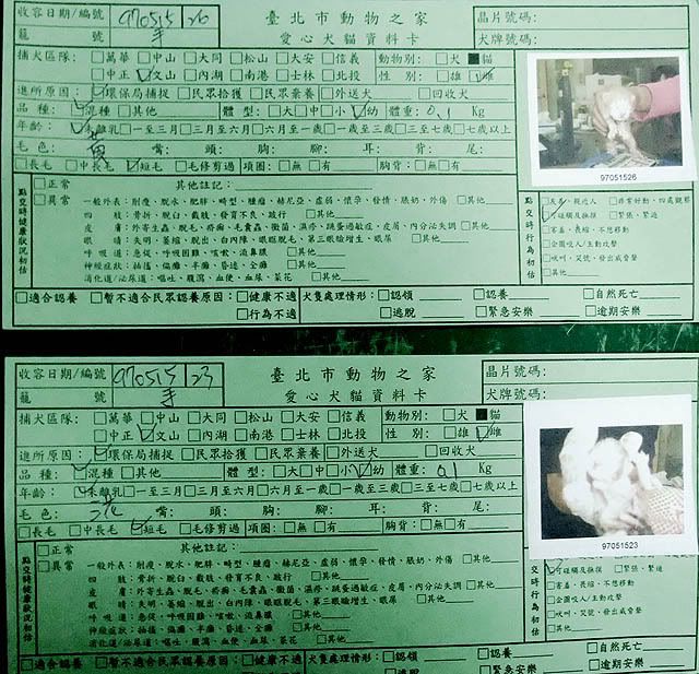 圖檔