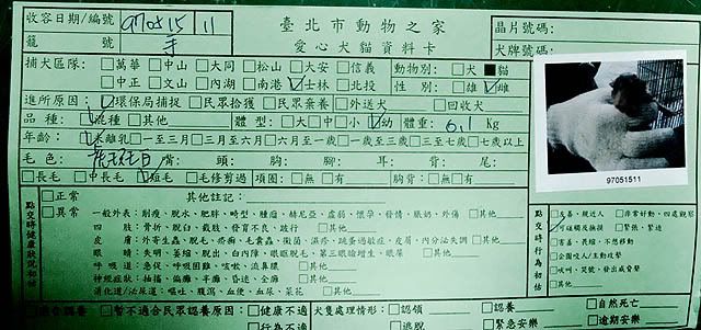 圖檔