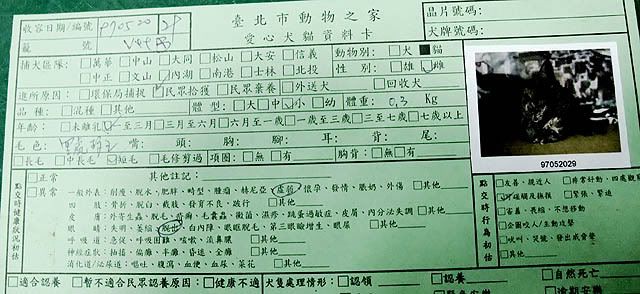 圖檔