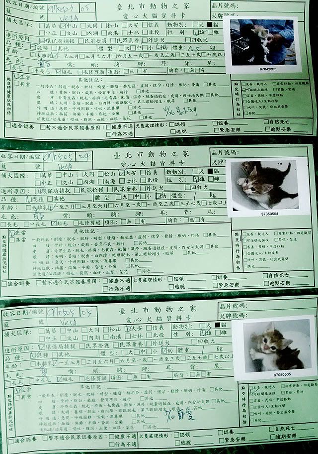 圖檔