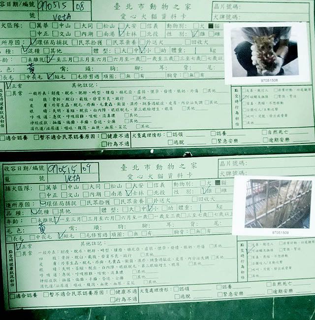 圖檔