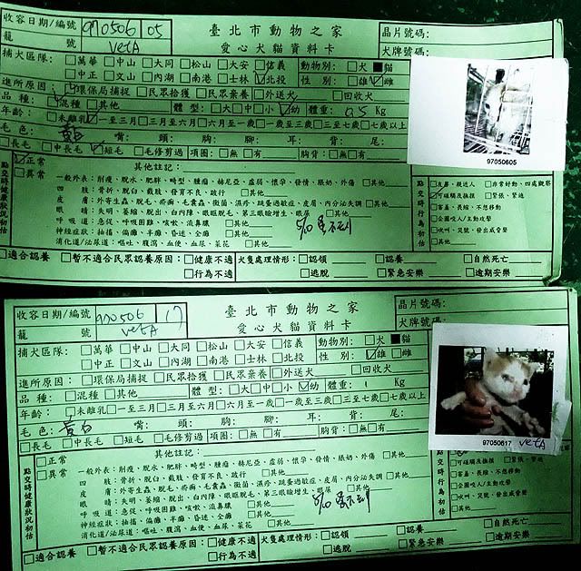 圖檔