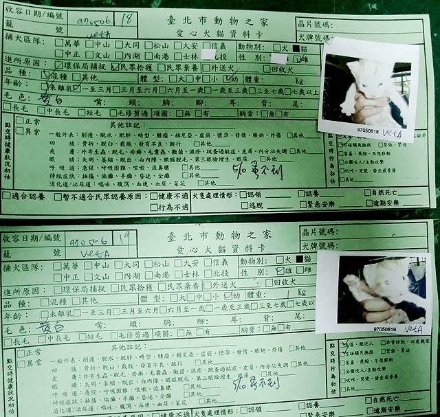 圖檔