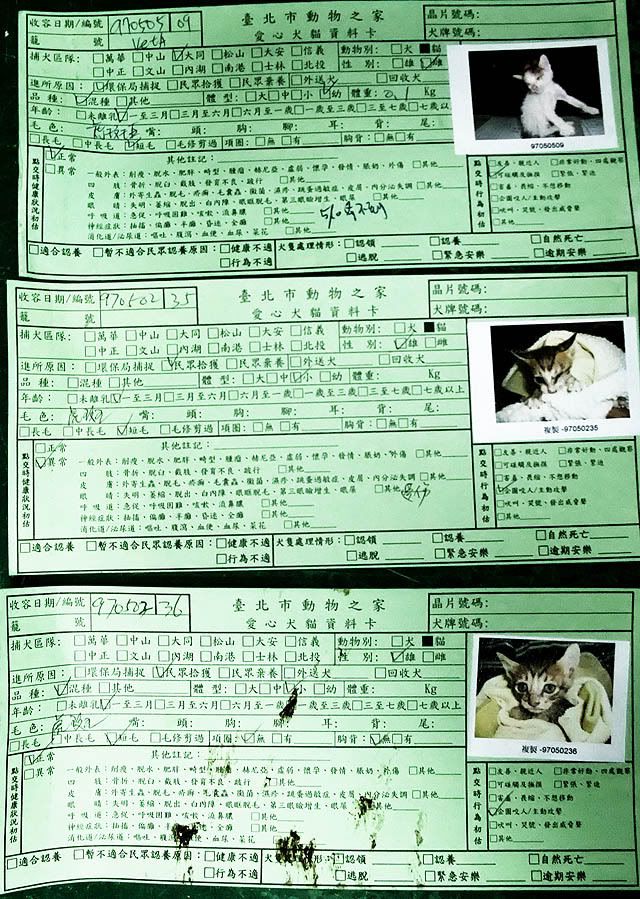 圖檔