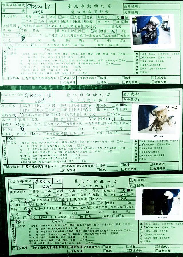 圖檔