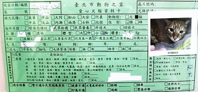 圖檔