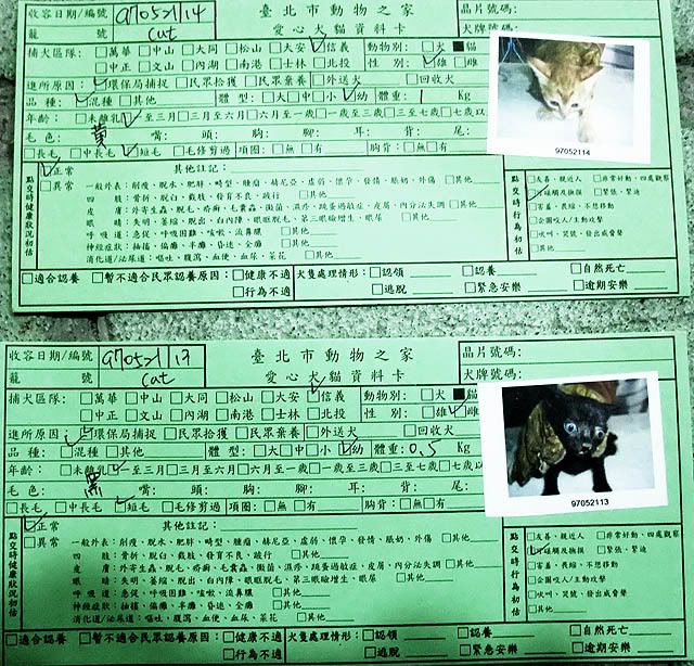 圖檔