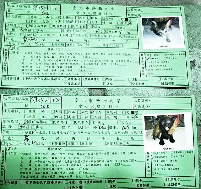 圖檔