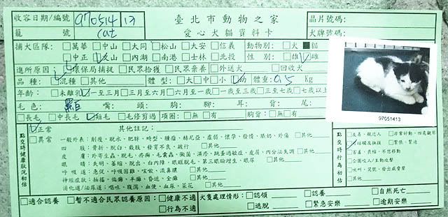 圖檔