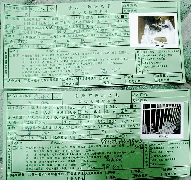 圖檔