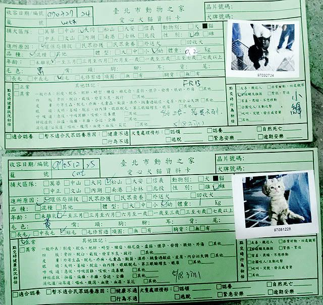 圖檔