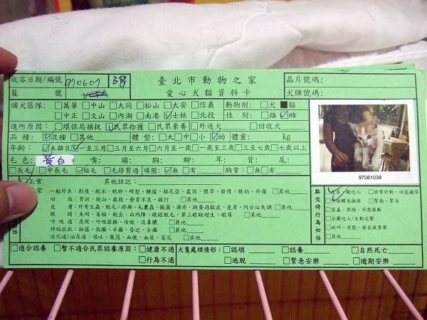 圖檔