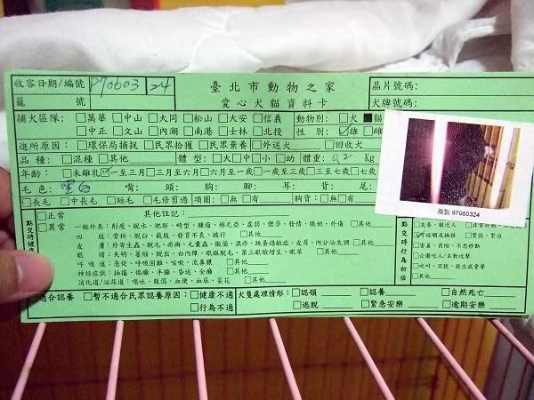 圖檔